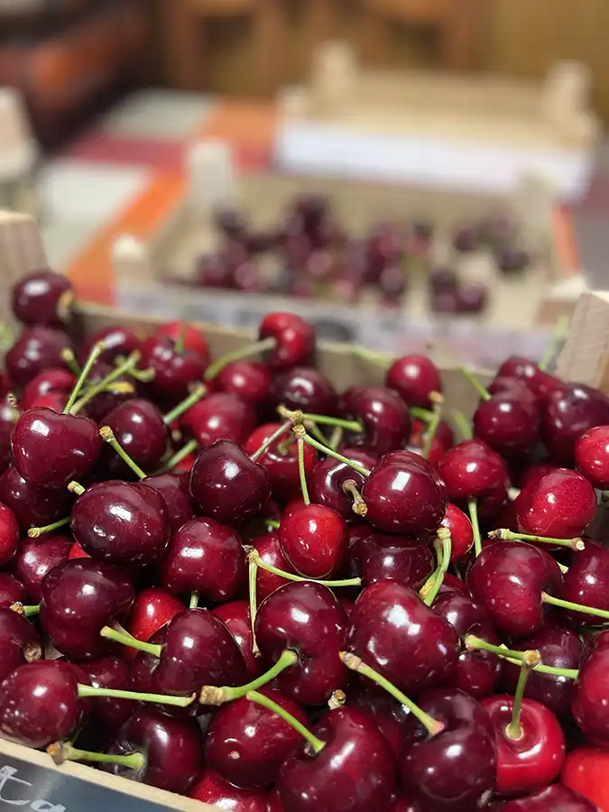 gastronomia-cerezas